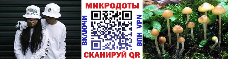 Галлюциногенные грибы GOLDEN TEACHER  OMG зеркало  Ярославль 